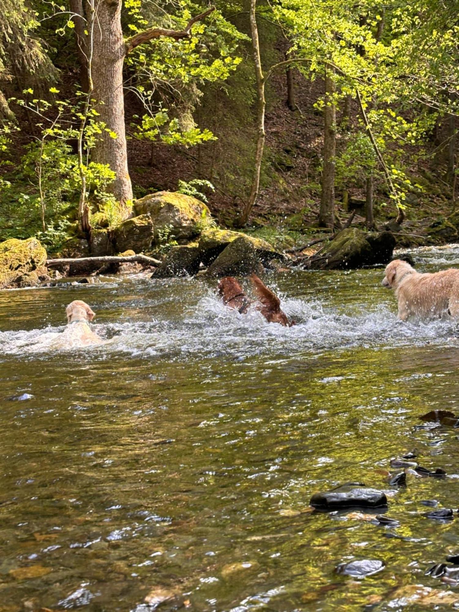 Plaetzchen Am Krebsberg Fuer Alle Fae Зимерат Екстериор снимка